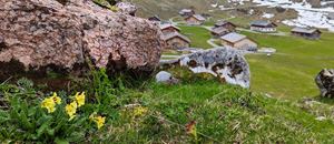 Alpe Laguz
